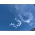 華宮 りんか|札幌市 中央区南のニュークラブ|Leicester(レスター)