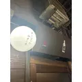 のどち スタッフ|大阪市 中央区東心斎橋のガールズバー|CHANCE(チャンス)