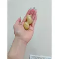 智華|都城市 牟田町のキャバクラ|Jardin(ハルディン)