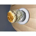 あかり|渋谷区 宇田川町のキャバクラ|BABEL(バベル)