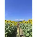 ありさ|高崎市 中紺屋町のキャバクラ|VALTEN(ヴァルテン)
