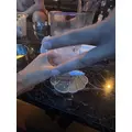 らむ|立川市 錦町の朝・昼キャバ|Mandarin Club（朝・昼）(マンダリンクラブ（朝・昼）)