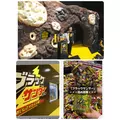 美穂|霧島市 国分中央のキャバクラ|Les Ailes(レゼル)