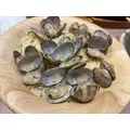 七星 夏純|旭川市 4条通のニュークラブ|Four Season(フォーシーズン)