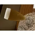 あや|長崎市 本石灰町のニュークラブ|ADANSONIA(アダンソニア)