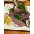 りおん|都城市 牟田町のキャバクラ|Jardin(ハルディン)