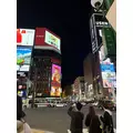 ゆず|立川市 曙町のキャバクラ|RAFFLESIA(ラフレシア)