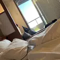霜月 せな|札幌市 中央区南のニュークラブ|Leicester(レスター)