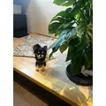 柏木 唯愛|名古屋市 中区錦の姉キャバクラ|ジュリアナ()