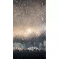 かれん|足立区 千住のキャバクラ|Donfin(ドンフィン)