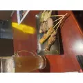 恋麦乃 ちょり|宮崎市 中央通のコンカフェ|Candy Made(キャンディーメイド)