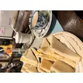 えみ|長崎市 本石灰町のニュークラブ|ADANSONIA(アダンソニア)