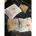 結城 かなの|札幌市 中央区南のニュークラブ|Leicester(レスター)