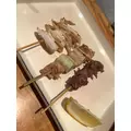 なつき|船橋市 本町のキャバクラ|Donfin(ドンフィン)