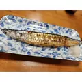 紫音|越谷市 南越谷のキャバクラ|Ammon(アモン)