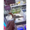 柊 まりん|札幌市 すすきののニュークラブ|Fillia(フィリア)