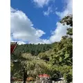 成海 まお|札幌市 すすきののニュークラブ|凛()