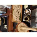 せり|渋谷区 宇田川町のキャバクラ|BABEL(バベル)