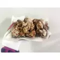 莉羽|福岡市 博多区中洲のキャバクラ|Red Shoes(レッドシューズ)
