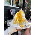 せいか|船橋市 本町のキャバクラ|Donfin(ドンフィン)