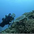 あこ|那覇市 松山のキャバクラ|SEASIDE(オキナワシーサイド)