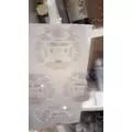 みさき|静岡市 葵区常磐町のキャバクラ|DEAREST(ディアレスト)