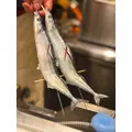 日向 夏南|柏市 柏のキャバクラ|BECAUSE(ビコーズ)