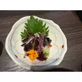 朝倉 しおり|名古屋市 中区錦の姉キャバクラ|ジュリアナ()