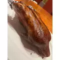 れいか|船橋市 本町のキャバクラ|Donfin(ドンフィン)