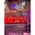 なつ|大阪市 中央区東心斎橋のガールズバー|CHANCE(チャンス)