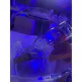 くらめ|長崎市 本石灰町のコンカフェ|あ～す！()