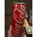 りんな|海部郡 蟹江町錦のキャバクラ|carthago(カルタゴ)