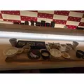 夢月 りりあ|浜松市 中央区千歳町のラウンジ|Dal Segno(ダルセーニョ)
