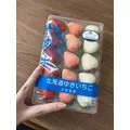 足立 はな|札幌市 すすきののニュークラブ|Fillia(フィリア)