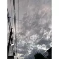 しずか|葛飾区 立石のスナック|グリーンパンサー()