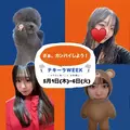 さくら|台東区 上野のガールズバー|Girls-Land-(ガールズランド)