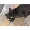 ふあ|宮崎市 中央通のガールズバー|ミヤバニ()