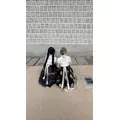もも|船橋市 本町のキャバクラ|Donfin(ドンフィン)