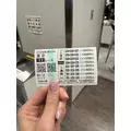音澄 みすず|札幌市 中央区南のニュークラブ|Leicester(レスター)