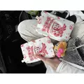 にも|新宿区 歌舞伎町のラウンジ|:(コロン)