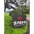 椿|都城市 牟田町のキャバクラ|Jardin(ハルディン)