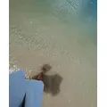 芹奈|さいたま市 大宮区仲町のキャバクラ|ai(アイ)