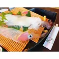 サキ|諫早市 永昌東町のキャバクラ|EDEN(エデン)