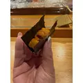 まきママ|三島市 一番町のキャバクラ|ELF(エルフ)