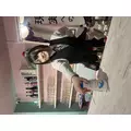 しゃけ|長崎市 本石灰町のコンカフェ|Candy Made(キャンディーメイド)