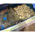 ナミ|海部郡 蟹江町錦のキャバクラ|carthago(カルタゴ)
