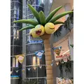 ぱき|宮崎市 中央通のコンカフェ|Candy Made(キャンディーメイド)