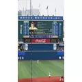 マヤ|さいたま市 大宮区仲町のキャバクラ|ai(アイ)