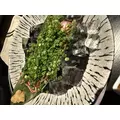 かえで|長崎市 銅座町のガールズバー|G291(ジーニクイチ)