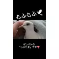 レイラ|台東区 上野のキャバクラ|千(セン)